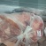 冻猪肉