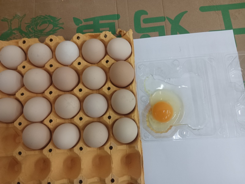 鸡蛋