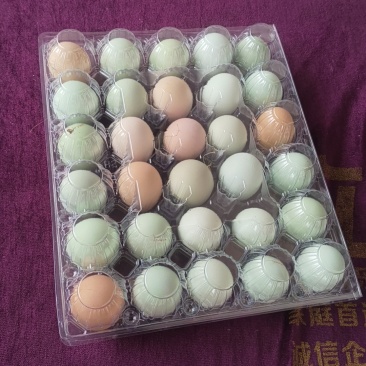 精品土鸡蛋