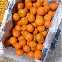 默克特榨汁果50起