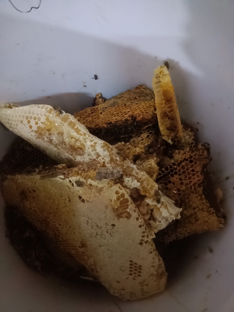 正宗土蜂蜜。
