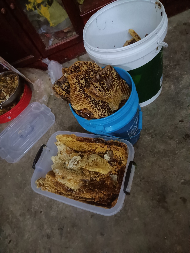 正宗土蜂蜜。