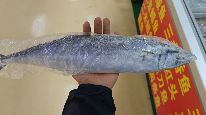 鲅鱼鲅鱼段