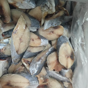 鲅鱼鲅鱼段