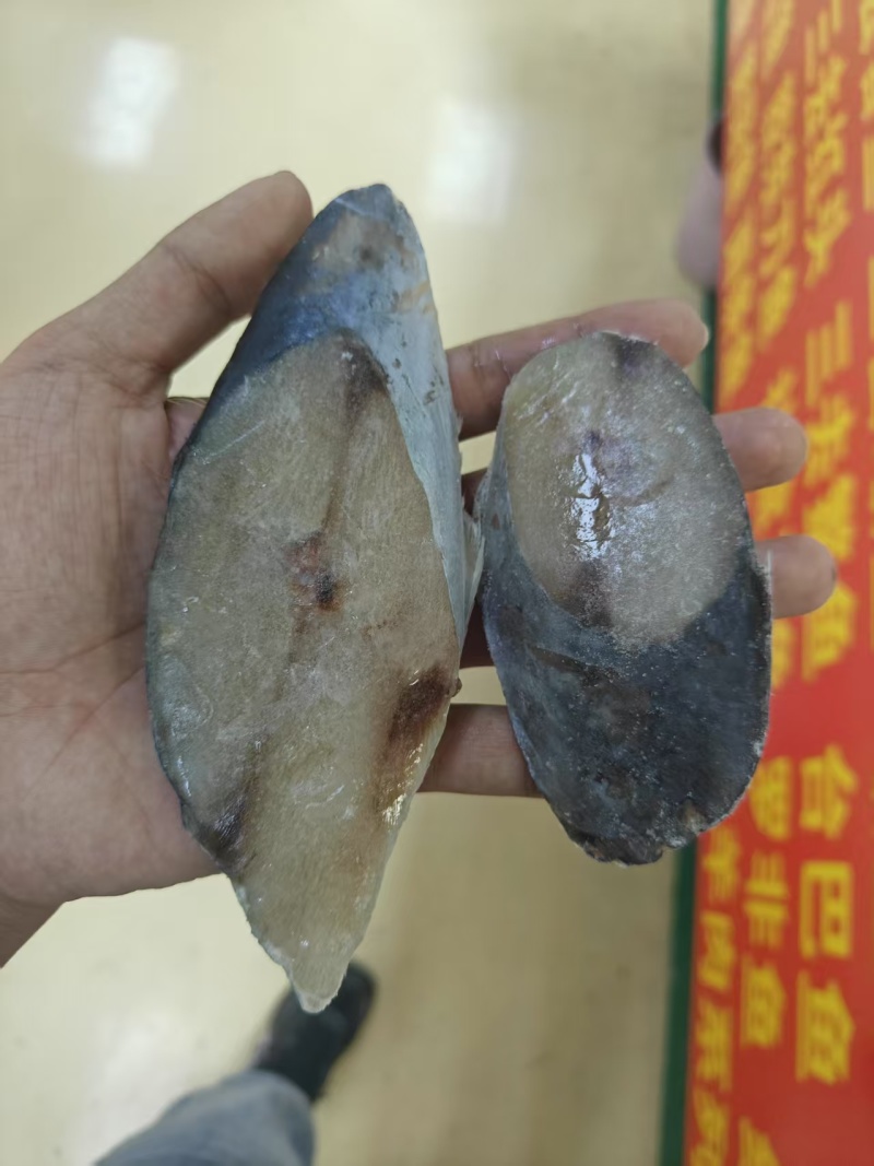 鲅鱼鲅鱼段