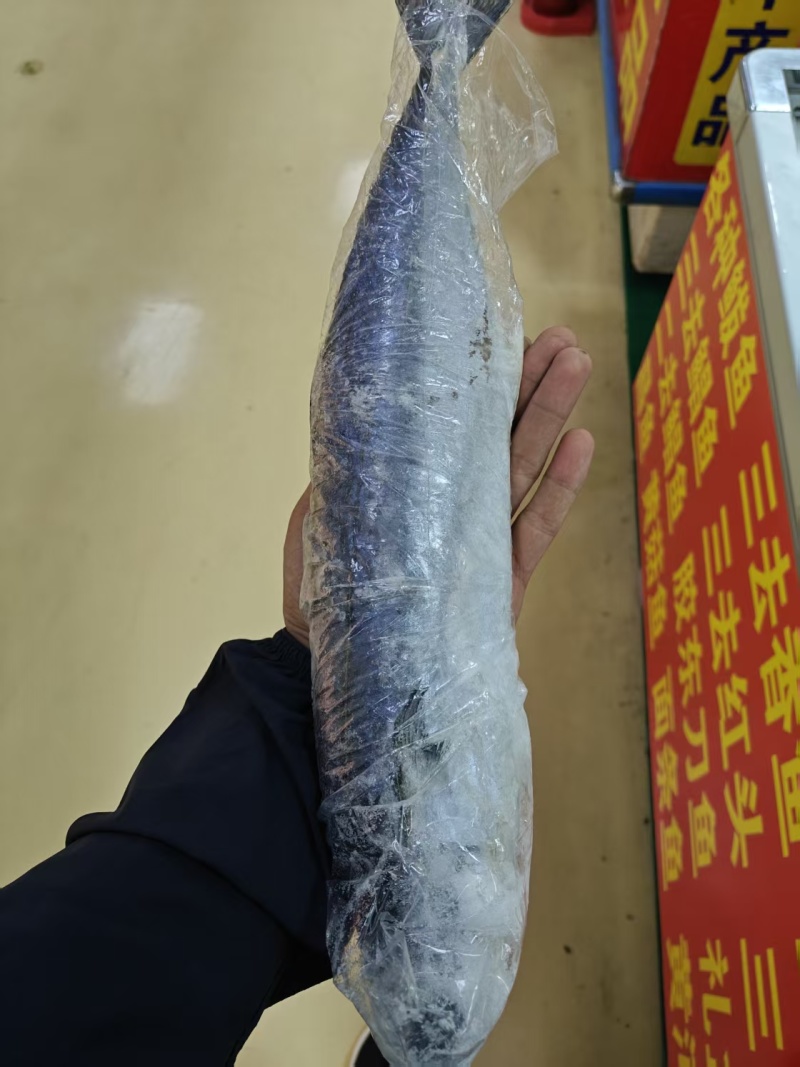 鲅鱼鲅鱼段