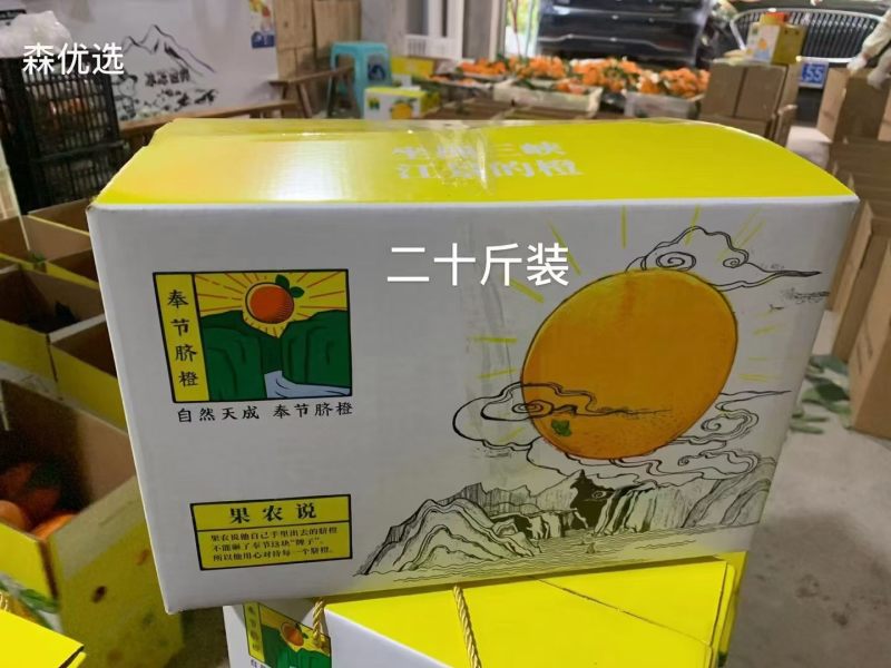 奉节脐橙