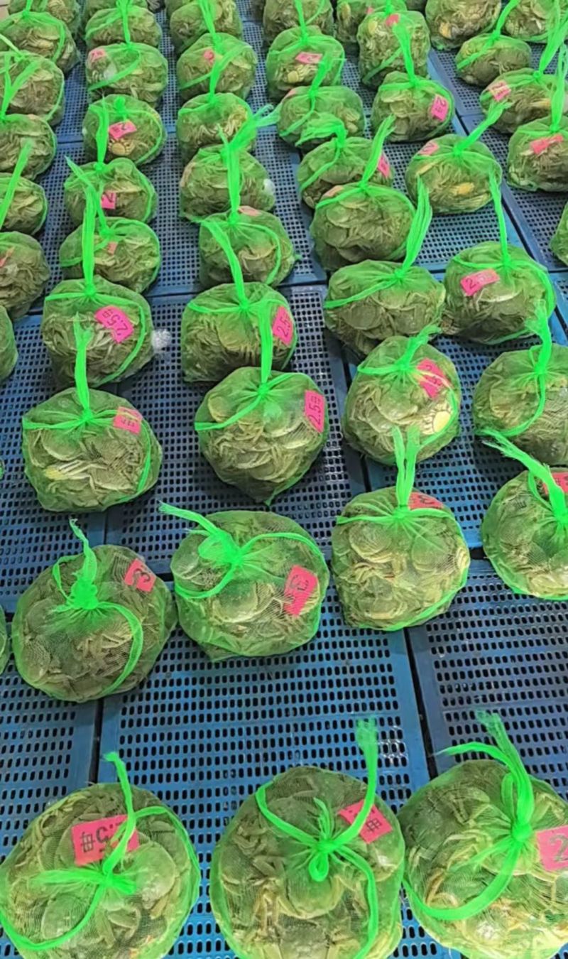 高淳大闸蟹六月黄养殖户一手货源