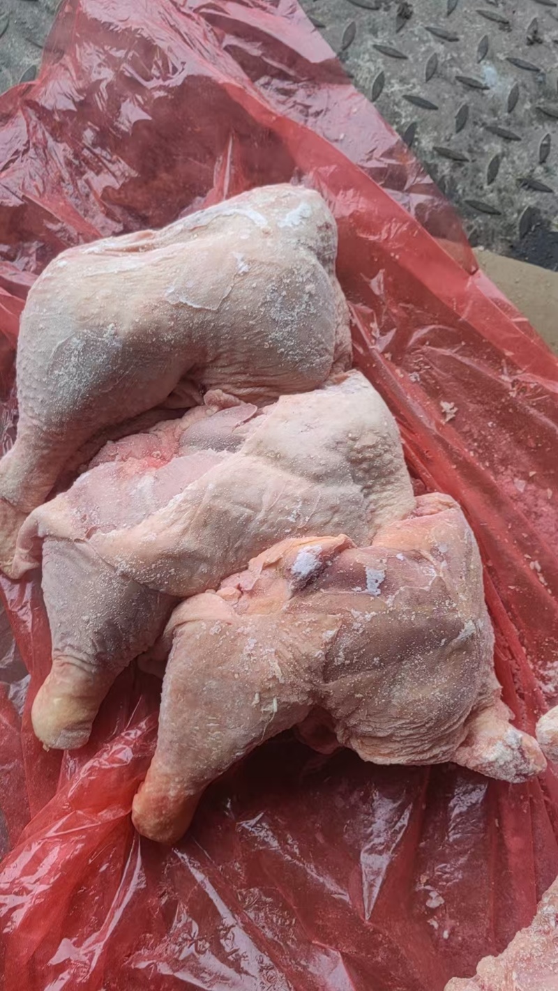 二级种鸡边腿20吨