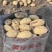 黄皮黄心5两起箱装云南德宏盈江