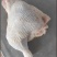 鸡边腿