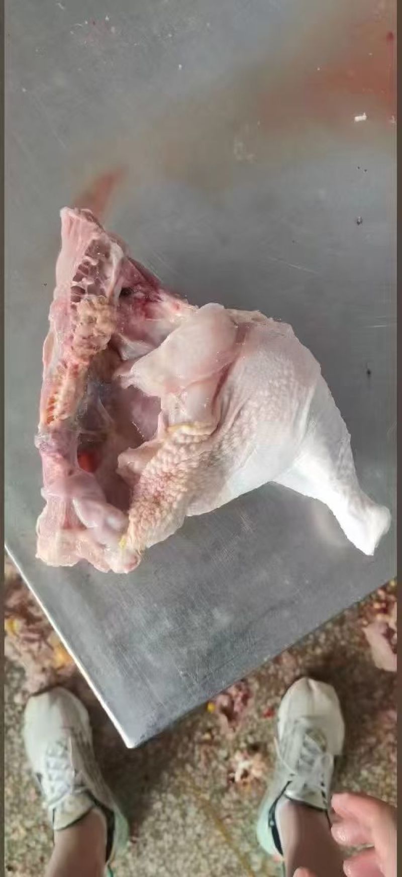 鸡边腿