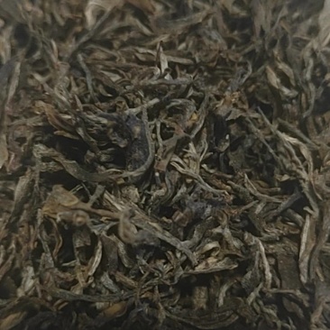 老鹰茶