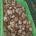 【推荐】香菇便宜了，便宜鲜香菇，一件代办，量大从优