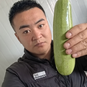 精品西葫芦