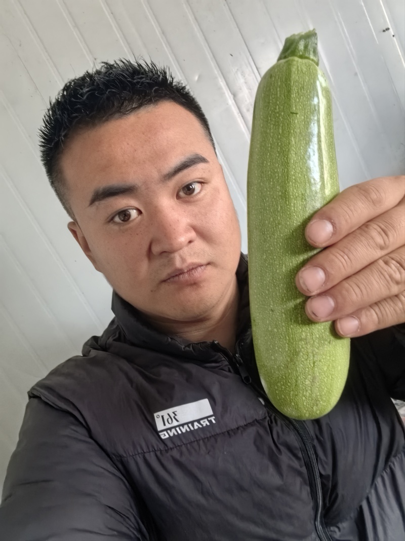 精品西葫芦