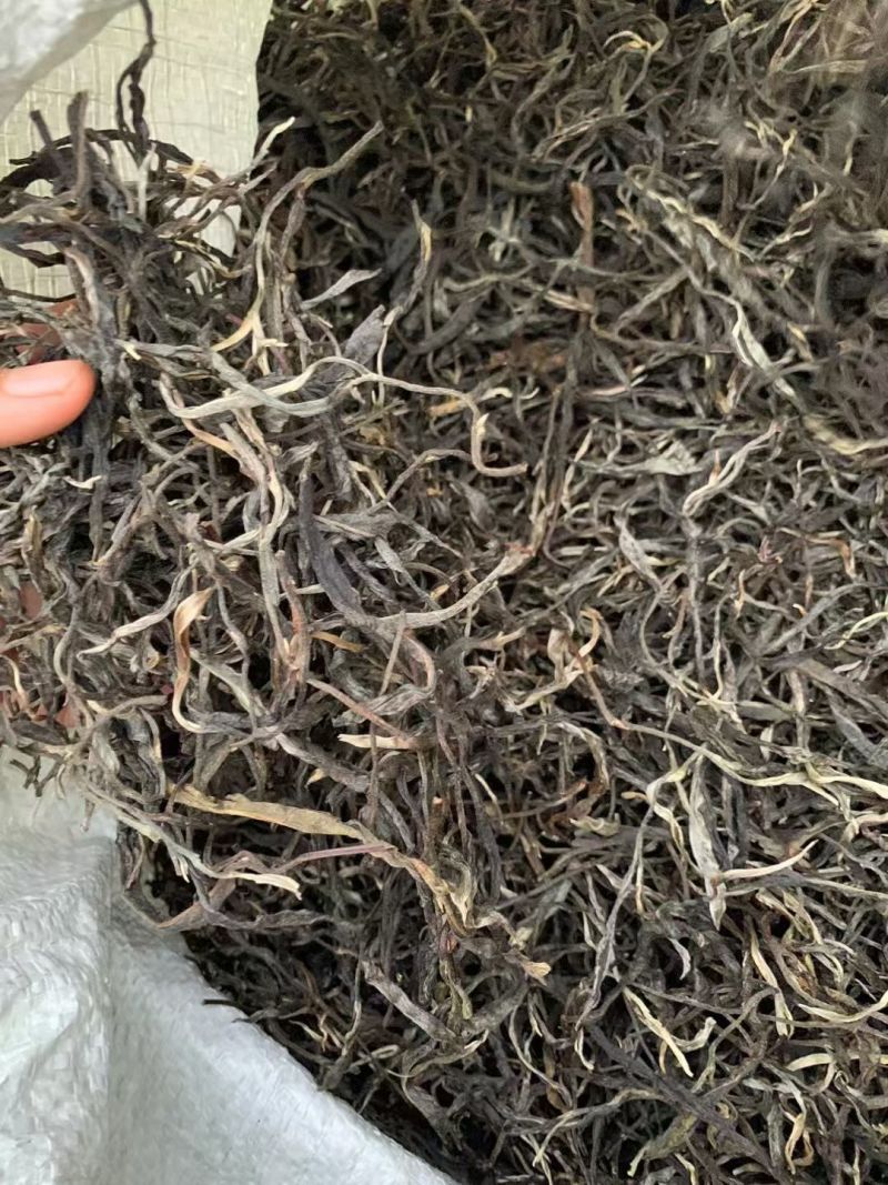 云南普洱春茶，自家种植原生态生长，纯手工制作的的普洱茶