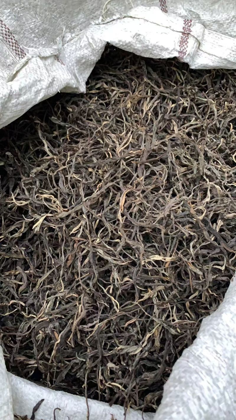 云南普洱春茶，自家种植原生态生长，纯手工制作的的普洱茶