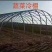 温室大棚材料对接全国价格优惠欢迎选购