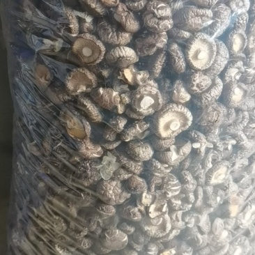 香菇，花菇