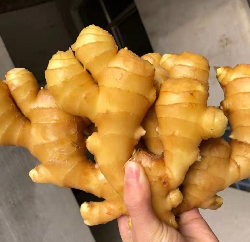生姜