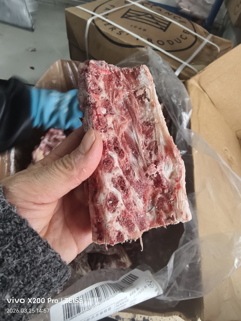 羊羽骨