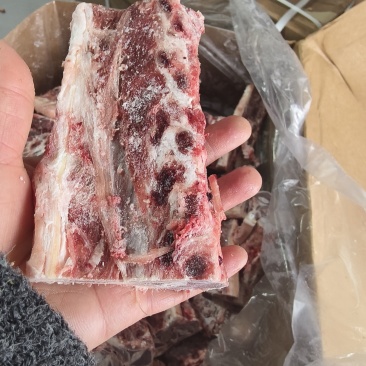 羊羽骨