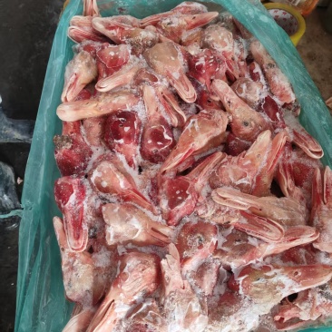 大板鸭头十四吨
