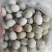 绿壳土鸡蛋（五谷杂粮喂养）