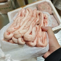 牛脊髓品质保证诚信经营欢迎联系接商超市场电商