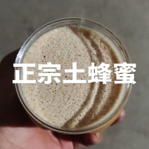 恩施高山土蜂蜜