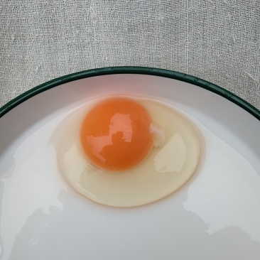 精粉新阳黑，粉八，绿壳蛋，散养柴鸡蛋