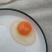 精粉新阳黑，粉八，绿壳蛋，散养柴鸡蛋