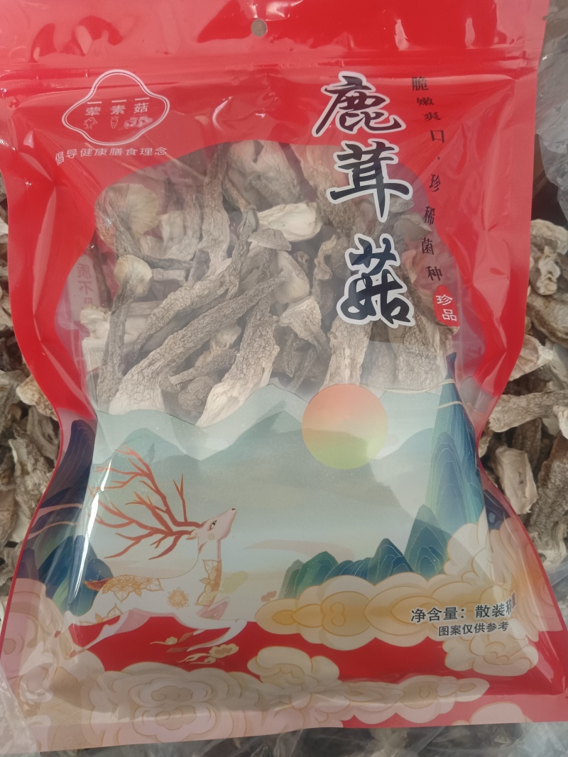鹿茸菇