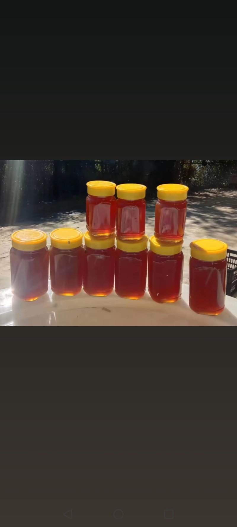 纯野生蜂蜜