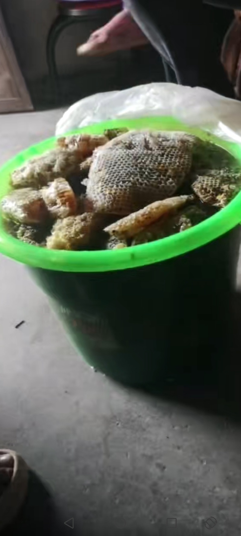 纯野生蜂蜜