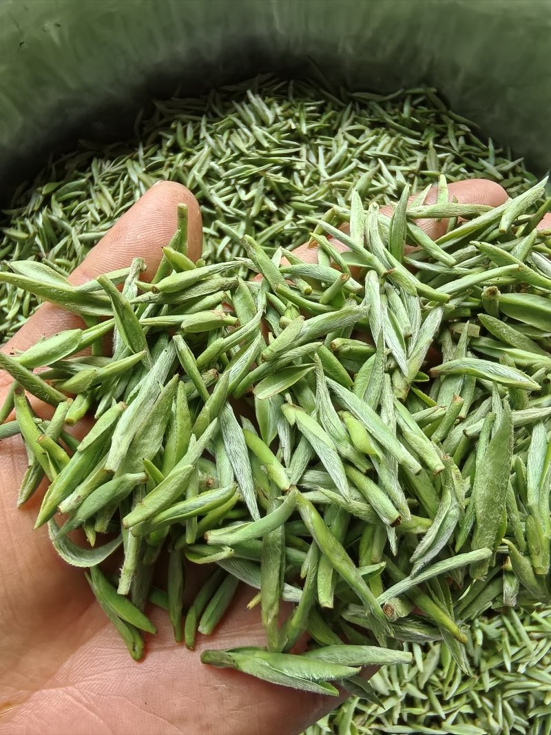 四川富硒茶