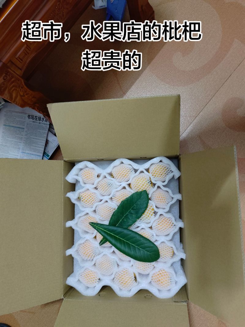 莆田早钟枇杷