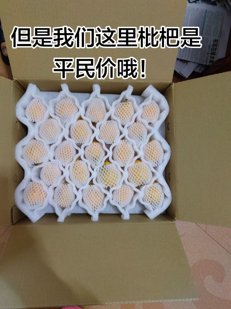 莆田早钟枇杷