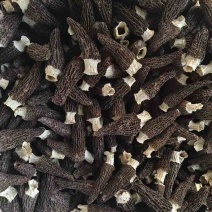 羊肚菌干货