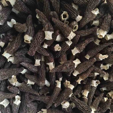 羊肚菌干货