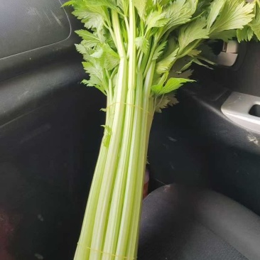 菏泽定陶网点：产地直采，品质保障，让采购更安心核心优势：源头