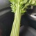 菏泽定陶网点：产地直采，品质保障，让采购更安心核心优势：源头