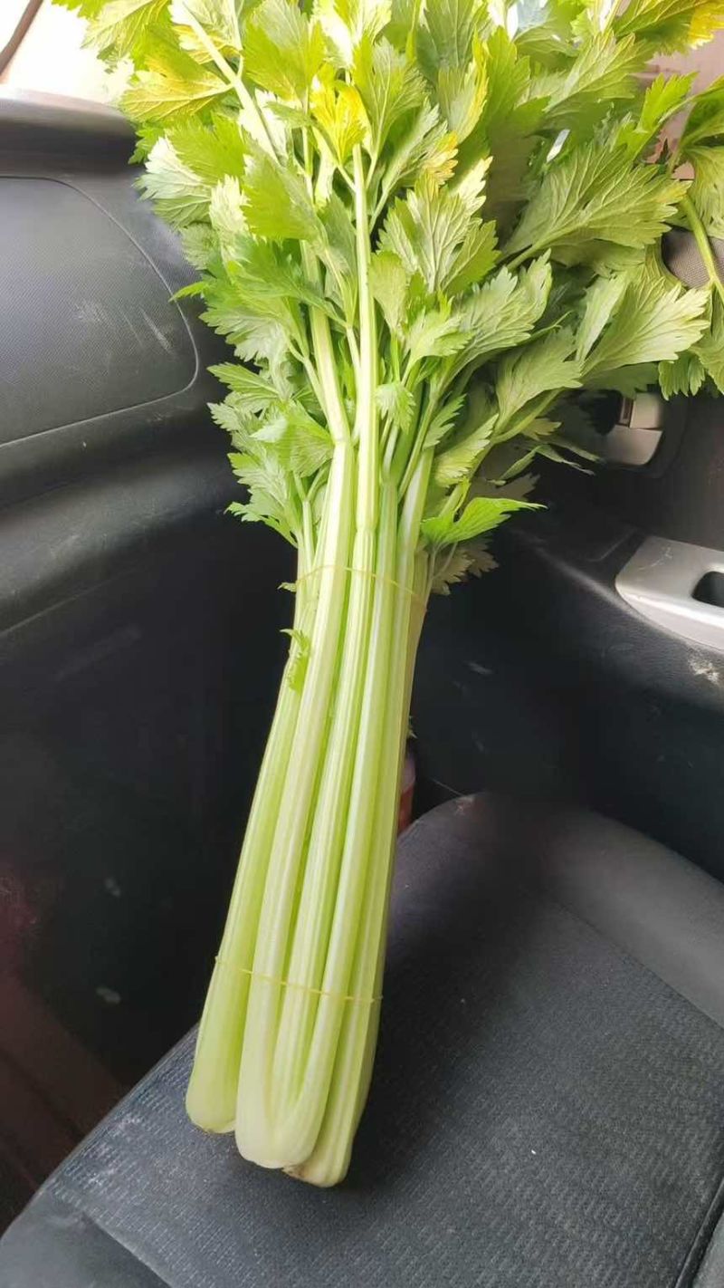菏泽定陶网点：产地直采，品质保障，让采购更安心核心优势：源头