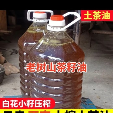 山茶油