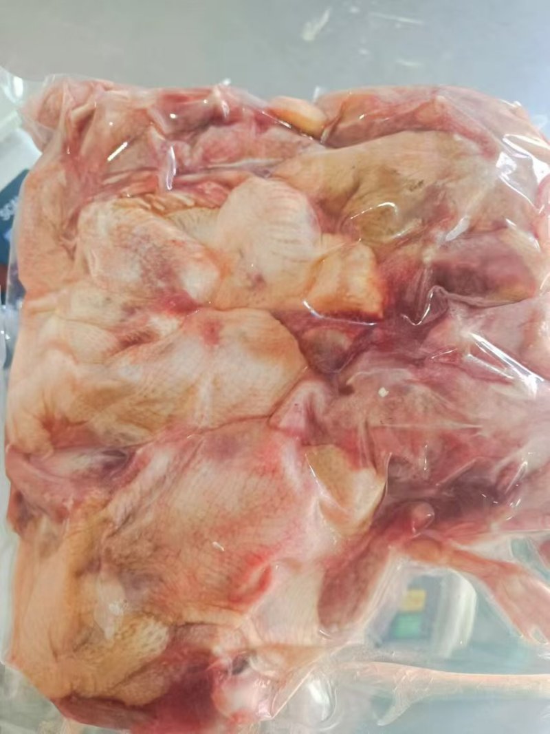 二级鸽子全净膛10万只