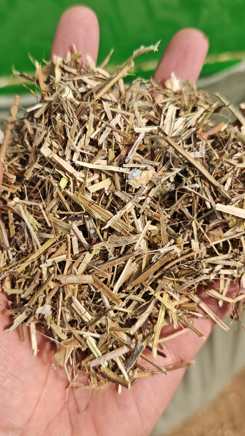 花生秧