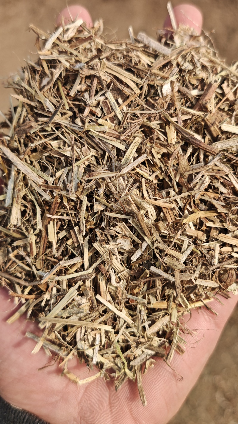 花生秧