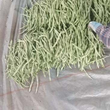 白云豆白条豆角
