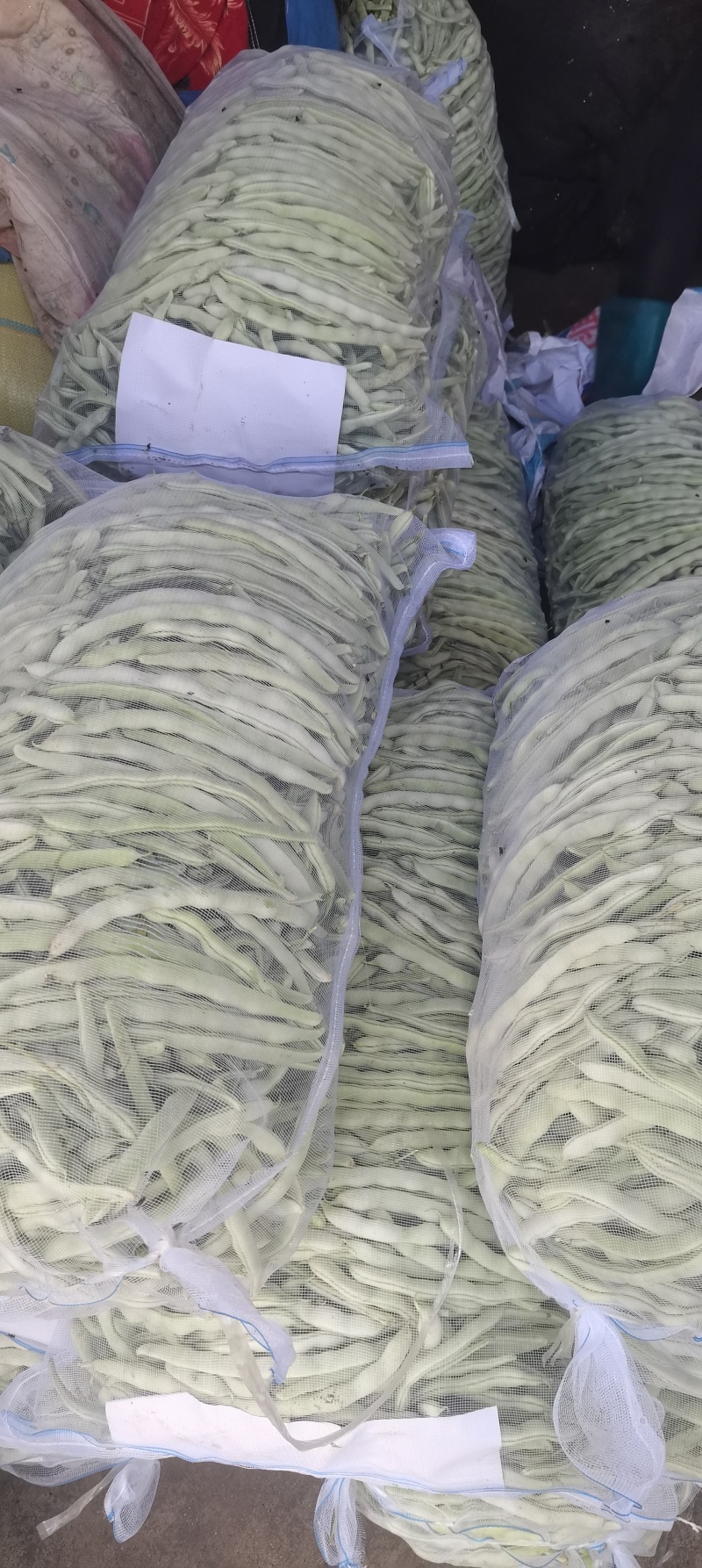白云豆白条豆角
